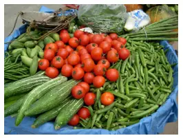 Low Carb Diet for Glycemic Control (30-60g/day) 1 vegetables